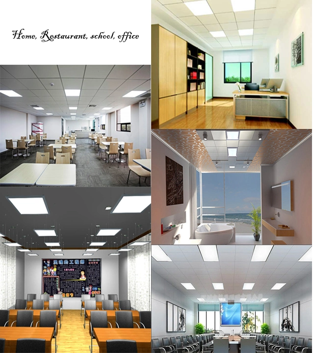 60X60 40W No Flicker Indoor Office LED Ceiling Panel Light